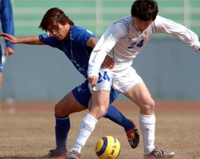 舜天勝長波 過玉賓呂建軍拼搶