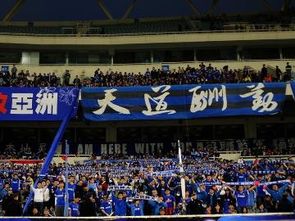 江蘇蘇寧足球俱樂部 江蘇蘇寧足球俱樂部