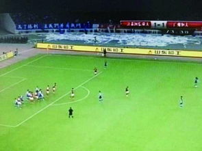 舜天不服向足協提交復議