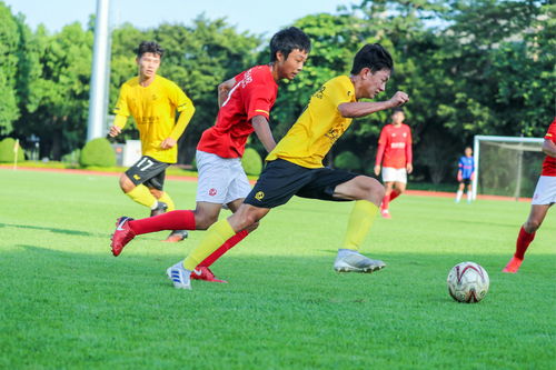 砸28個億引園丁請陪練育精英,這家中國的青訓兵工廠夠豪