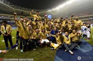 舜天眾將士賽后肆意歡慶 任航劃地慶祝